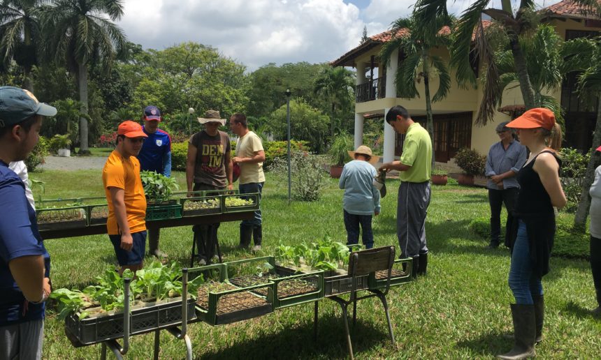 Network-Building in Colombia