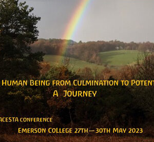 Invitation to the ACESTA Conference 2023 in UK