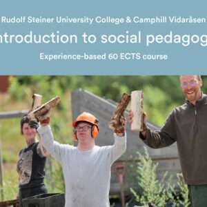 Two-year introductory course in social pedagogy