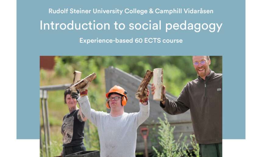 Two-year introductory course in social pedagogy